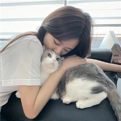 天山的红花